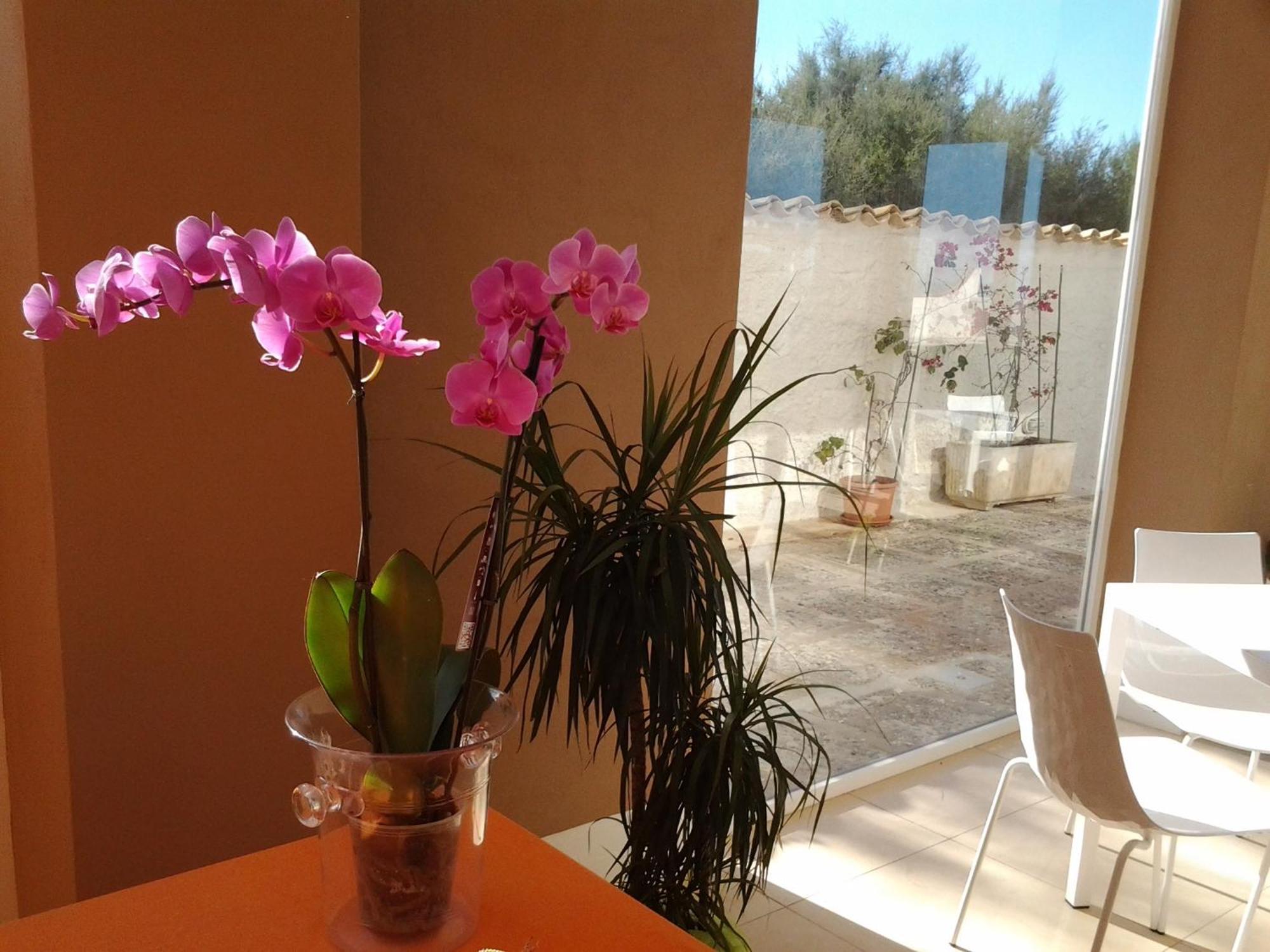 SUITEBEACH b&b&resort Marsala Eksteriør bilde
